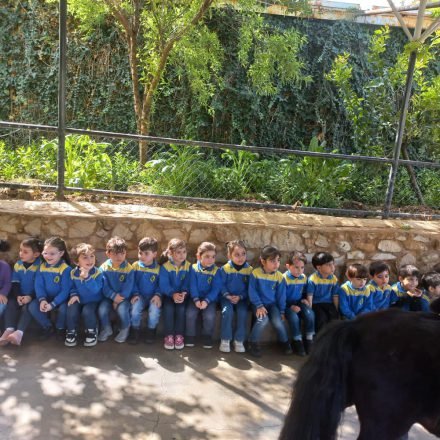 Farm visit 2023